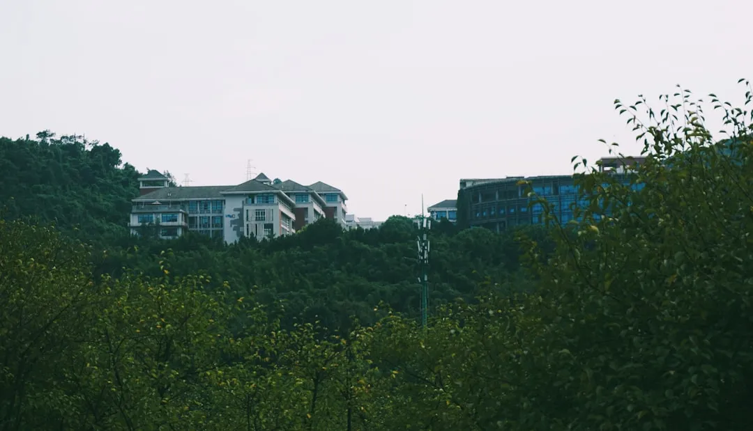 北京中小企业软件定制开发：技术架构选型与性能对比分析